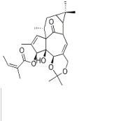 巨大戟醇 5,20-縮丙酮 3-當(dāng)歸酸酯87980-68-5