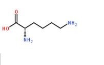 賴氨酸56-87-1