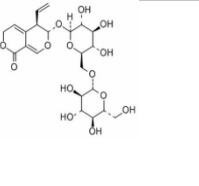 6'-O-Β-D-葡萄糖基龍膽苦苷115713-06-9