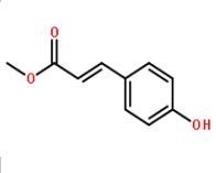 4-羥基肉桂酸甲酯19367-38-5