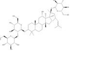 人參皂苷RD52705-93-8