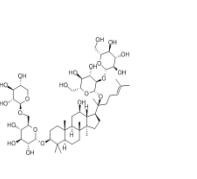 20(R)人參皂苷Rg338243-03-7