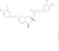 1,5-二咖啡酰奎寧酸30964-13-7