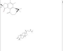 3β-乙酰氧基-7,25-甘遂二烯-24(R)-醇1352001-09-2