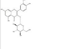 異鼠李素-3-O-葡萄糖苷5041-82-7