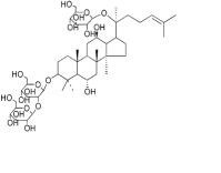 越南參皂苷R4156009-80-2