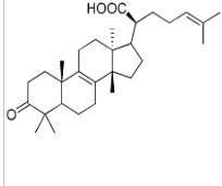 β-欖香酮酸28282-25-9