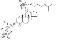 越南參皂苷R3156012-92-9