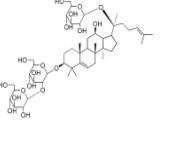 5,6-脫氫人參皂苷Rd1268459-68-2