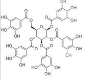 1,2,3,4,6-五沒食子酰葡萄糖14937-32-7
