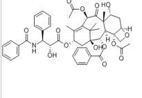 7-表紫杉醇105454-04-4