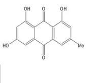 大黃素、朱砂蓮甲素、1,3,8-三羥基-6-甲基蒽醌518-82-1