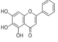 黃芩素491-67-8
