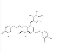 連翹酯苷A79916-77-1