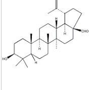 相思豆毒素526-31-8