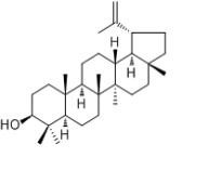 羽扇豆醇545-47-1