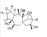 鬧羊花毒素III26342-66-5