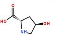 L-羥脯氨酸51-35-4