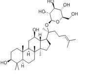 人參皂苷CK39262-14-1