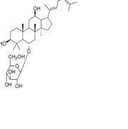 人參皂苷Rh4174721-08-5
