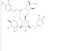 連翹酯苷B81525-13-5