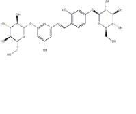 桑皮苷A102841-42-9