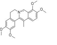 脫氫紫堇堿30045-16-0