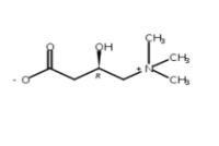 左旋肉堿、L-肉堿、卡尼丁541-15-1