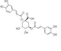 1,3-二咖啡酰奎寧酸19870-46-3