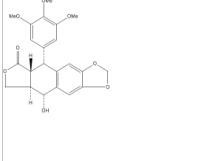 鬼臼毒素518-28-5