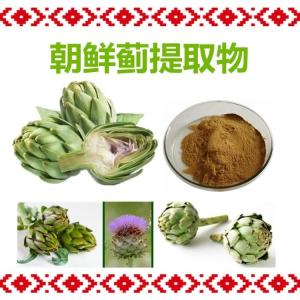 朝鲜蓟提取物 比例批发