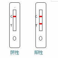 便隐血(FOB)检测卡(免疫层析法)