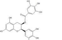 表沒(méi)食子兒茶素沒(méi)食子酸酯989-51-5