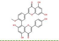 白果雙黃酮521-32-4