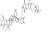 桔梗皂苷D94079-81-9