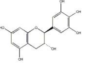 沒食子兒茶素3371-27-5