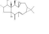 千金子二萜醇34420-19-4
