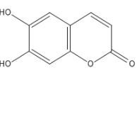 秦皮乙素305-01-1