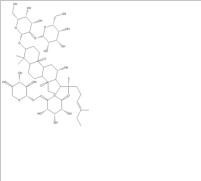 人參皂苷Rb368406-26-8