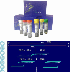 嗜水气单胞菌探针法荧光定量PCR试剂盒 产品图片