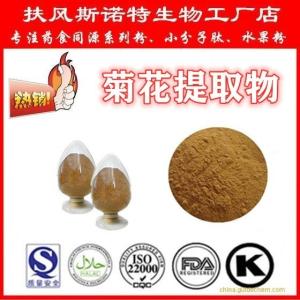菊花提取物粉 菊花粉 速溶现货 扶风斯诺特生产