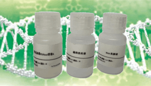 DNA提取溶液（25:24:1） 产品图片