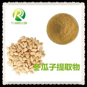 冬瓜子濃縮粉 冬瓜子提取物粉