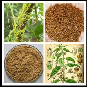 菟丝子提取物30:1 现货供应包邮
