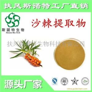 沙棘提取物 高含量沙棘粉