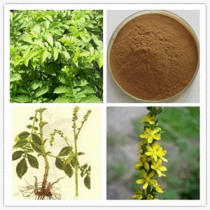 仙鹤草提取物比例 水溶清澈