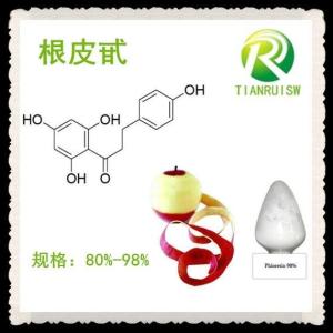 根皮甙 蘋果皮提取物 多規(guī)格根皮苷Phlorizin85%