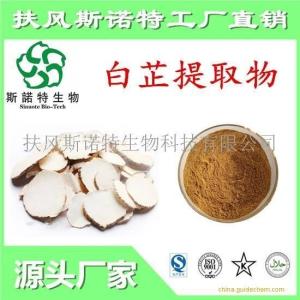 10:1白芷提取物 高含量白芷粉