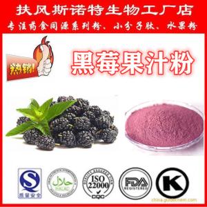 黑莓果汁粉 全水溶黑莓粉 生产包邮