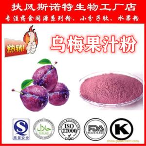乌梅果汁粉 乌梅汁粉 全水溶乌梅粉 供应